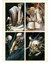 Emperor's Will, The