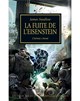 La Fuite De L'Eisenstein