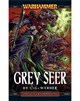 Grey Seer (eBook)