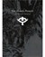 Horus Heresy, The : Collected Visions