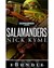 Xmas Salamanders eBundle