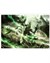 Nagash Immortal poster