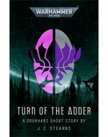 Turn of the Adder