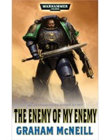 The Enemy of my Enemy (eBook)