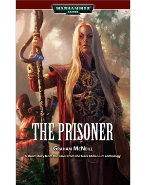 The Prisoner (eBook)