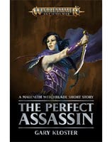 The Perfect Assassin